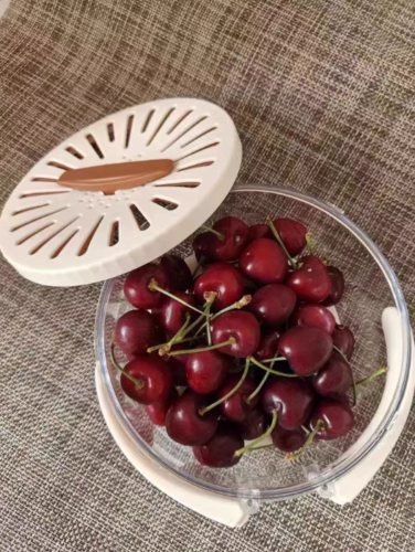 【New Year Specials】New Kitchen Fruit and Vegetable Drain Basket, Multifunctional Handle Fresh-keeping Box, Foldable Fruit and Vegetable Basket for Home Use[Pack of 5] photo review